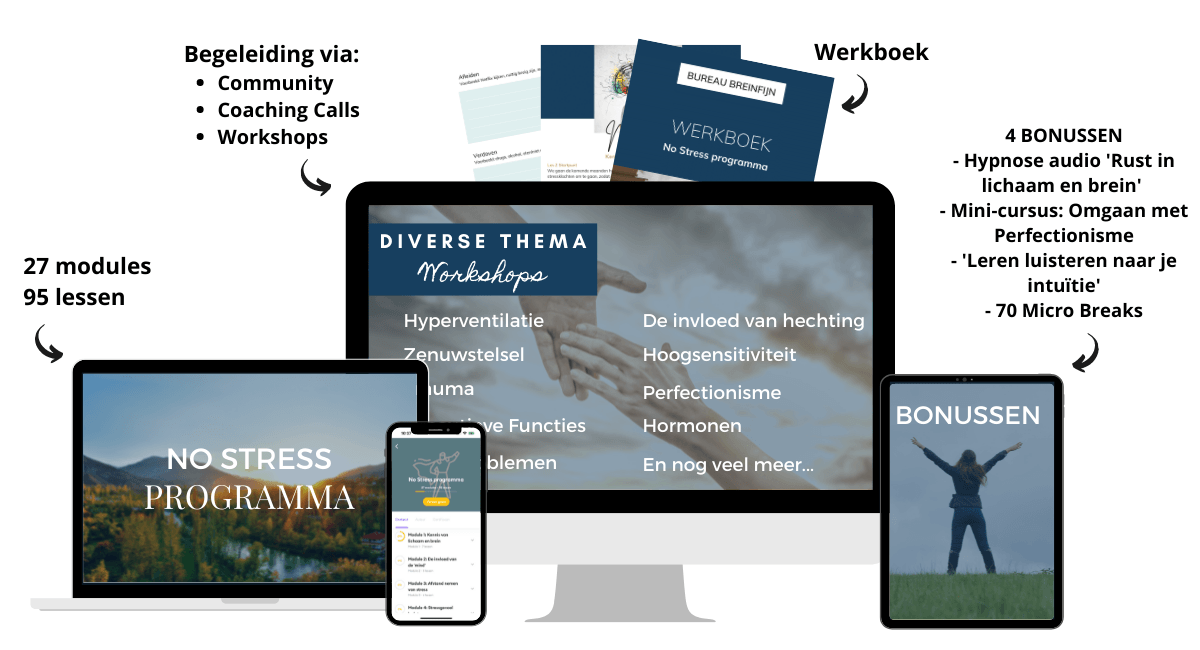 Mockups Breinfijn (22)