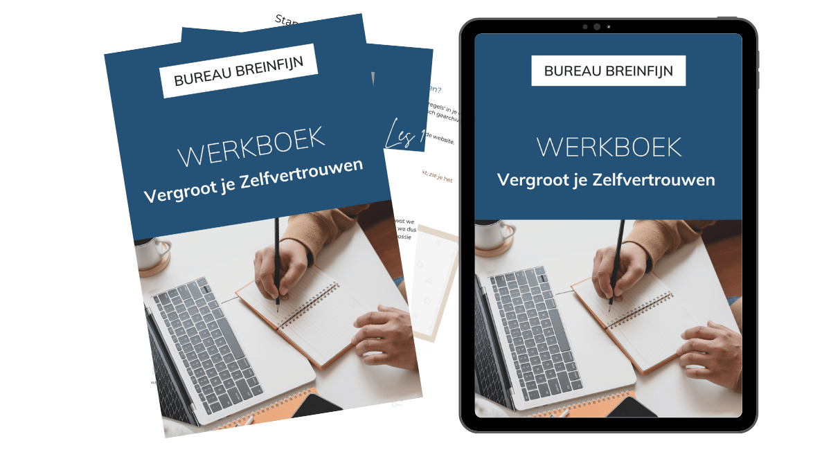Mockups Breinfijn